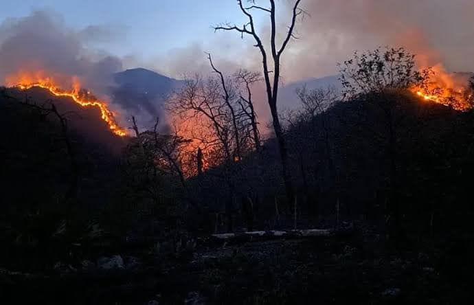 Avanza control del incendio en el Cañón del Novillo