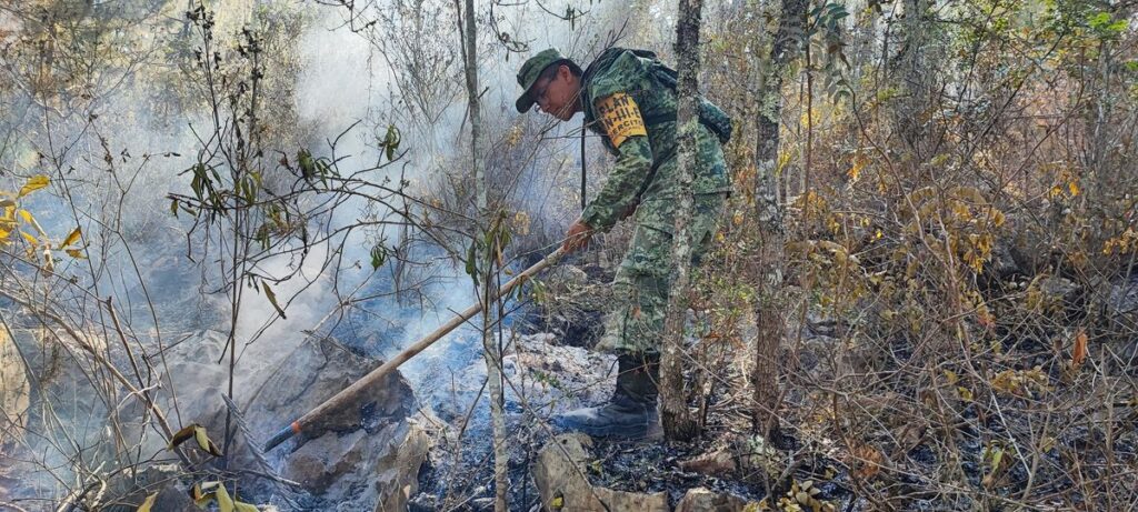 Se registran 260 hectáreas devastadas por incendios en Tula y Jaumave