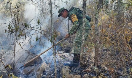 Se registran 260 hectáreas devastadas por incendios en Tula y Jaumave