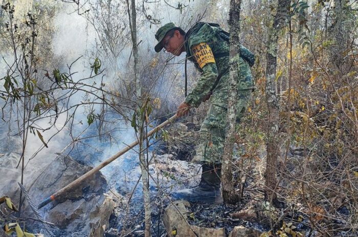 Se registran 260 hectáreas devastadas por incendios en Tula y Jaumave