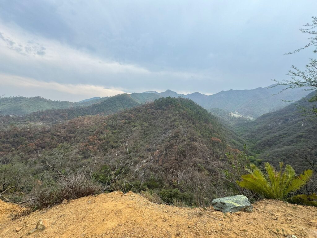 Incendio en el Cañón del Novillo extinguido completamente