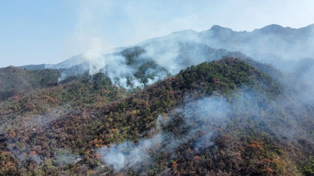 Preocupación por la fauna ante el fuego en el Cañón del Novillo