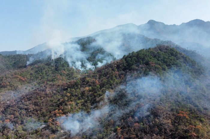 Preocupación por la fauna ante el fuego en el Cañón del Novillo