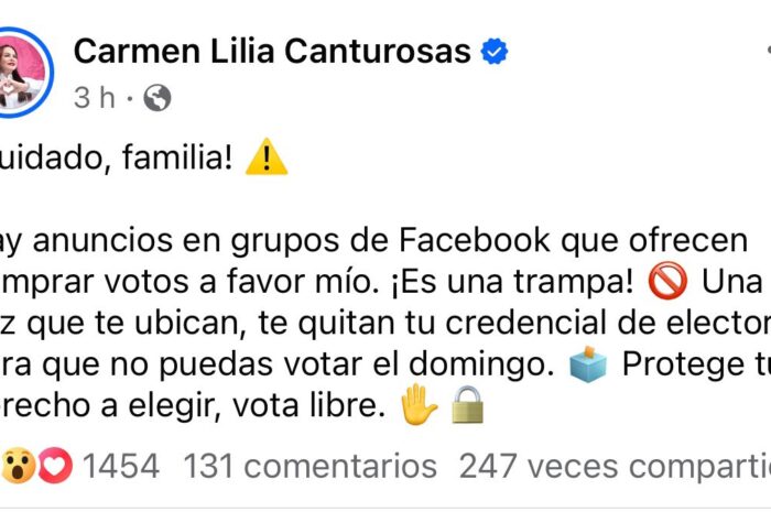 Alerta Carmen Lilia Canturosas por robo de credenciales de elector a través de Facebook