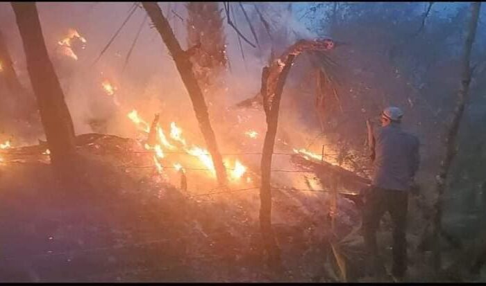 Avanza lucha contra incendio en el Cañón del Novillo