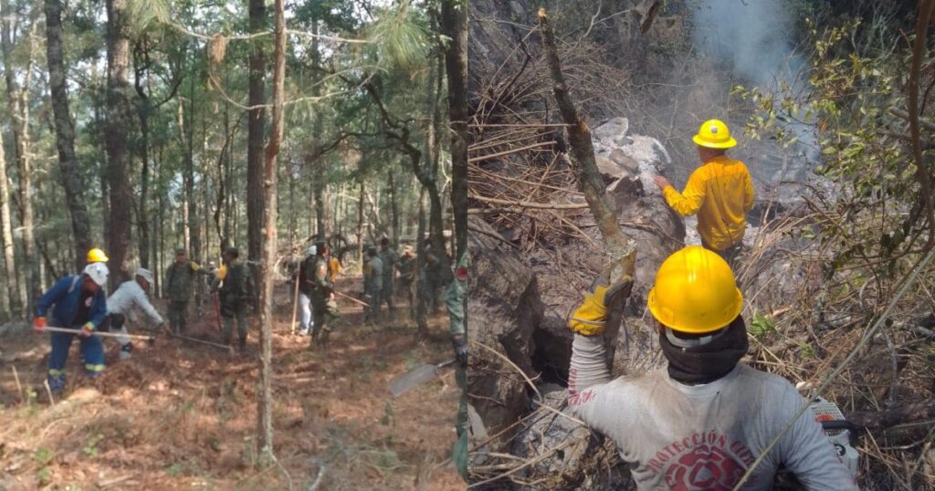 Avanzan los esfuerzos contra el fuego en el Cañón del Novillo