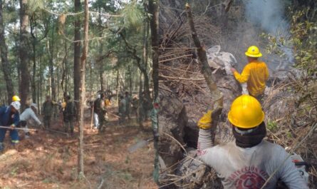 Avanzan los esfuerzos contra el fuego en el Cañón del Novillo