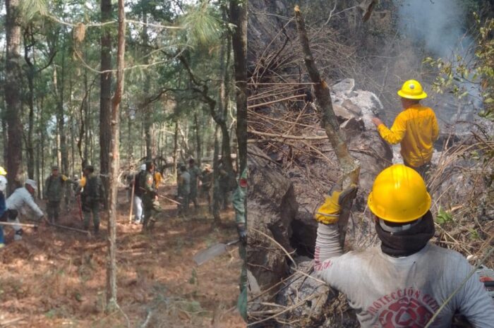 Avanzan los esfuerzos contra el fuego en el Cañón del Novillo