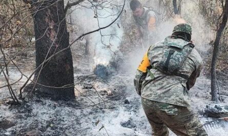 Avanza control del incendio en el Cañón del Novillo, informa PC