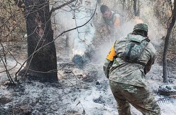 Avanza control del incendio en el Cañón del Novillo, informa PC