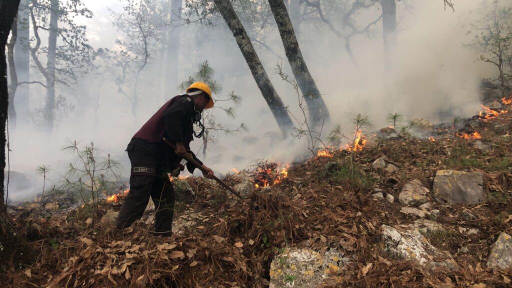 Equipo de relevo enfrenta incendio en "La Chona", Tamaulipas