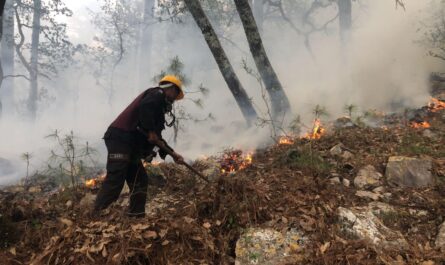 Equipo de relevo enfrenta incendio en "La Chona", Tamaulipas