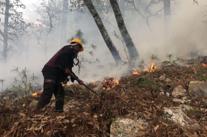 Equipo de relevo enfrenta incendio en «La Chona», Tamaulipas