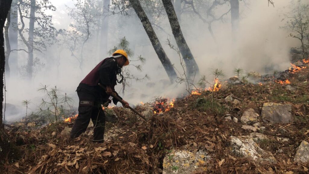 Emergencia en la Sierra de Ciudad Victoria: Más de 2000 hectáreas consumidas por incendio