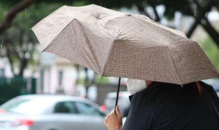 Clima Tamaulipas: posibles chubascos y bochorno para este martes