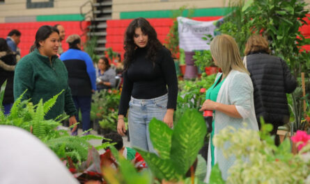 Llevará a cabo Gobierno de Nuevo Laredo tercera edición de expo “Tu Jardín y Artesanías”