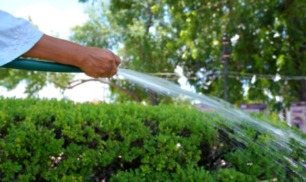 Exhorta Gobierno de Nuevo Laredo a cuidar el agua; aplican multas de más de 10 mil pesos por desperdiciarla