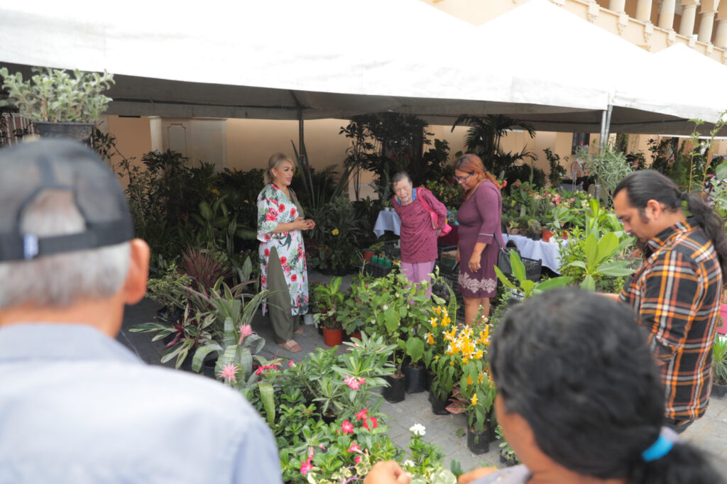 Apoya Gobierno de Nuevo Laredo comerciantes locales con expo “Tu Jardín y Artesanías”