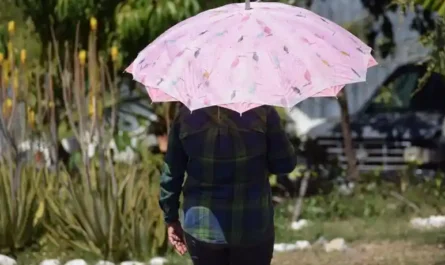 Predominan cielos soleados en Tamaulipas con fuertes ráfagas de viento