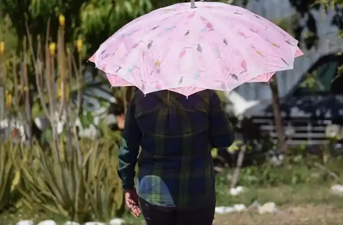 Predominan cielos soleados en Tamaulipas con fuertes ráfagas de viento