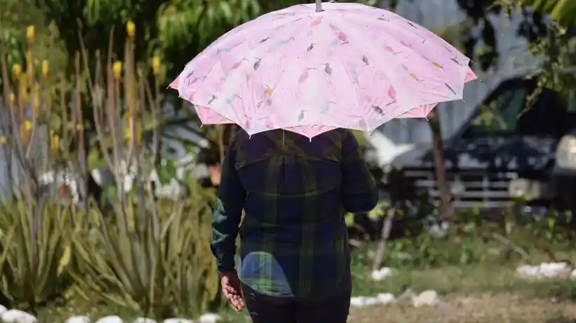 Predominan cielos soleados en Tamaulipas con fuertes ráfagas de viento