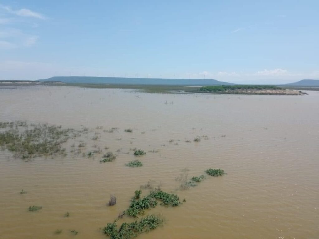 Lluvias de la tormenta Alberto erradican la sequía extrema en Tamaulipas