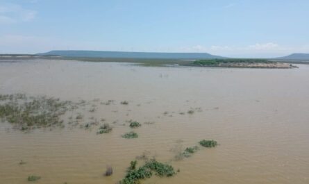 Lluvias de la tormenta Alberto erradican la sequía extrema en Tamaulipas