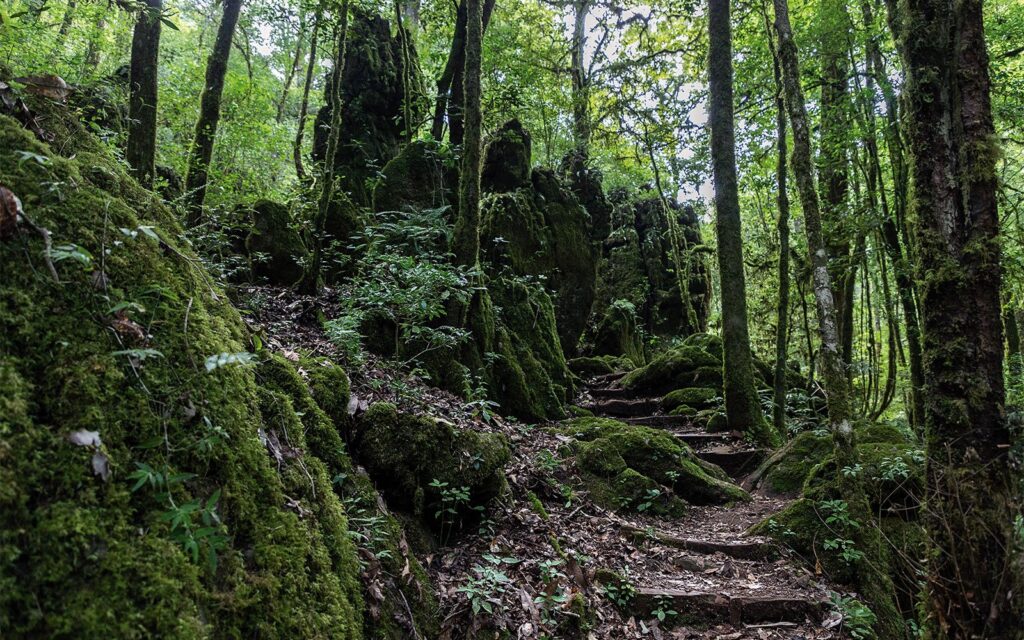 Tamaulipas refuerza la protección de sus reservas naturales