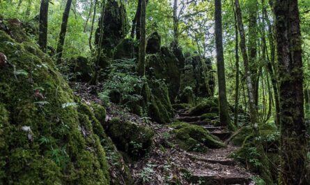 Tamaulipas refuerza la protección de sus reservas naturales