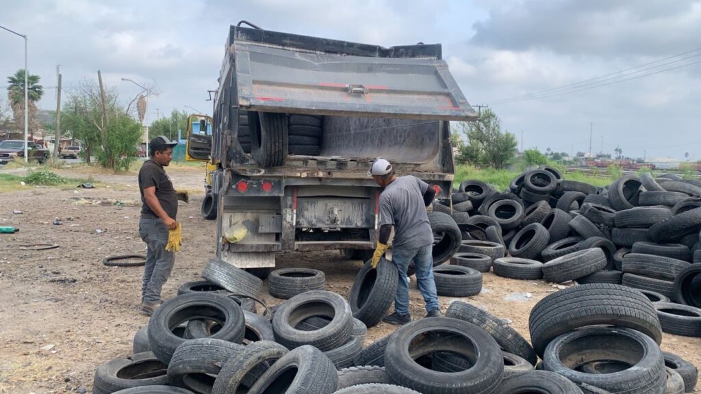 Responde bien ciudadanía a centro de acopio de llantas usadas en Nuevo Laredo; mejora imagen urbana y cuidado de la salud