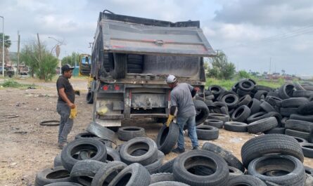 Responde bien ciudadanía a centro de acopio de llantas usadas en Nuevo Laredo; mejora imagen urbana y cuidado de la salud