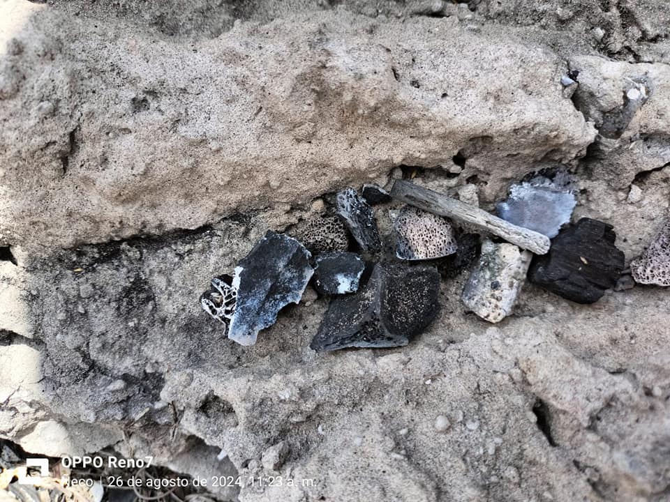 Descubren campo de exterminio humano entre Reynosa y Río Bravo