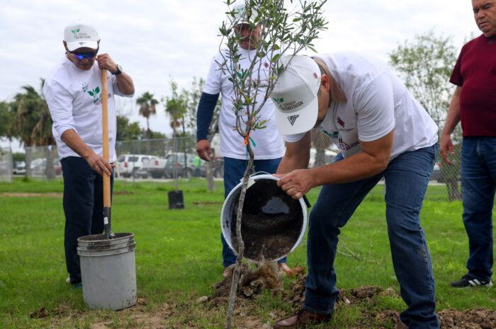 Fortalece Gobierno de Nuevo Laredo cuidado al medio ambiente con programa de reforestación