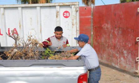 Utiliza ciudadanía Centros de Transferencia creados por el Gobierno de Nuevo Laredo