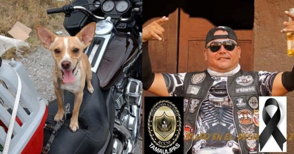 Encuentran al perro del motociclista fallecido en accidente en la Reynosa-San Fernando