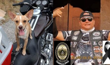 Encuentran al perro del motociclista fallecido en accidente en la Reynosa-San Fernando