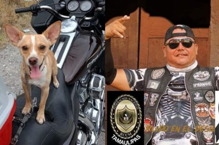 Encuentran al perro del motociclista fallecido en accidente en la Reynosa-San Fernando