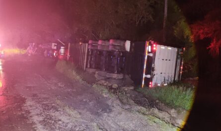 Tráiler con alimento para ganado vuelca en la carretera Victoria-Monterrey