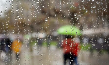 Clima de martes: lluvias y calor en Tamaulipas