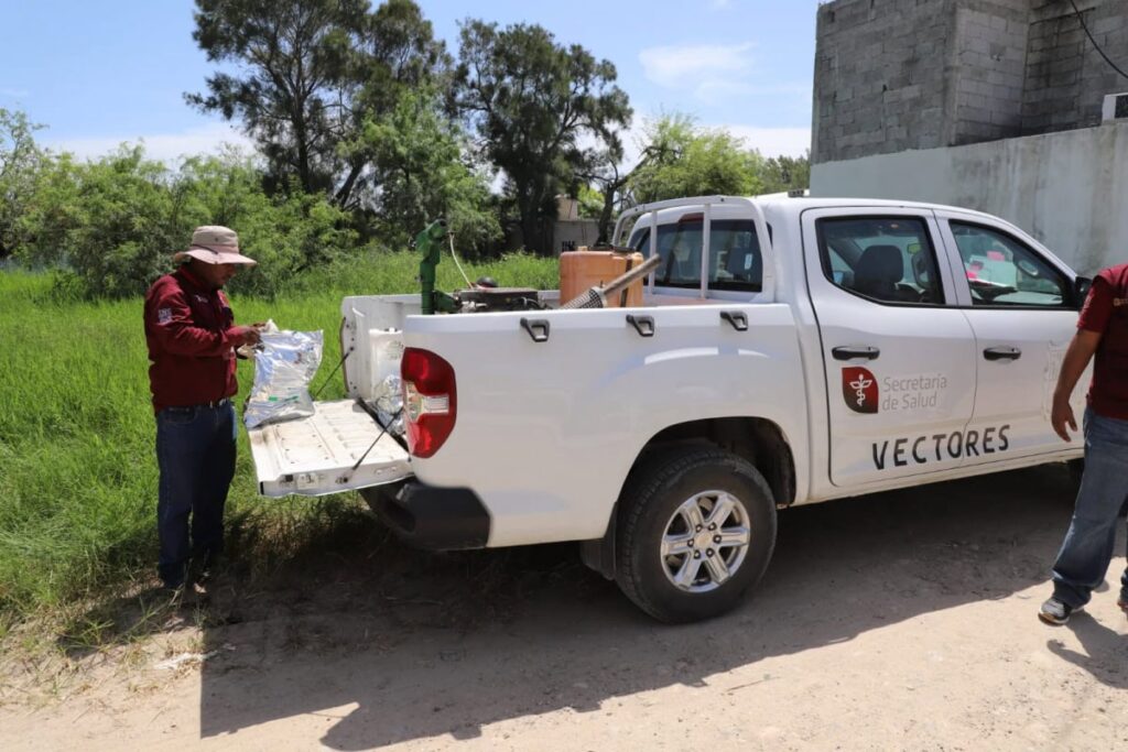 Controlado el dengue en Tamaulipas: Salud confirma 1,016 casos