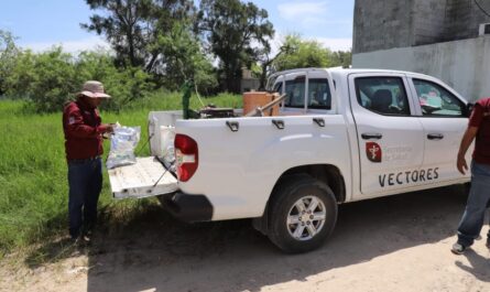 Controlado el dengue en Tamaulipas: Salud confirma 1,016 casos