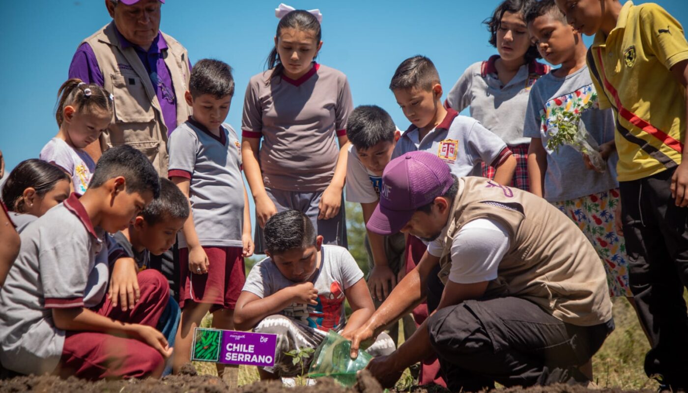 Habilita DIF Tamaulipas nuevos huertos escolares en 10 municipios del estado