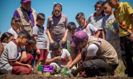 Habilita DIF Tamaulipas nuevos huertos escolares en 10 municipios del estado