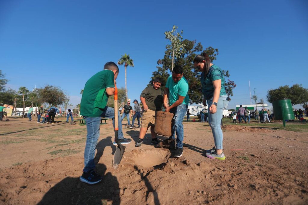 Reforestan espacios públicos de Nuevo Laredo con programa municipal “Sembrando Vida”