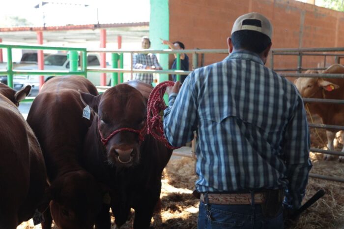 Brinda Gobierno de Nuevo Laredo apoyos a ganaderos locales