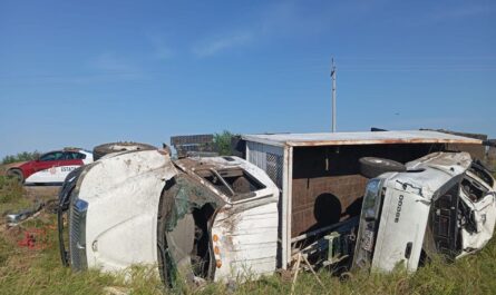 Vuelcan centroamericanos mientras transportaban vehículos en San Fernando