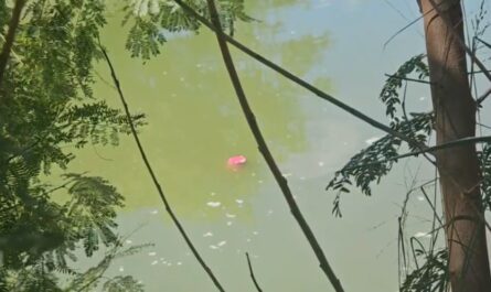 Cuerpo de mujer es hallado en el canal Rodhe de Reynosa