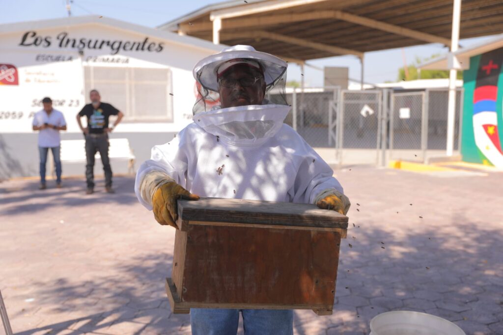 Nuevo Laredo único en Tamaulipas con programa de rescate de colmenas