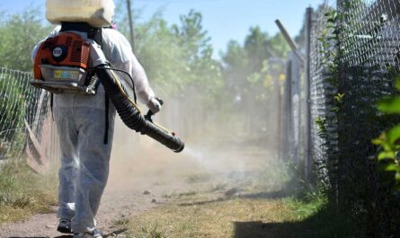 COEPRIS intensifica campaña de prevención del dengue en Tamaulipas