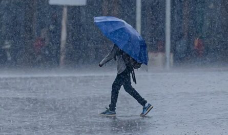 Lluvias aisladas y calor se esperan en Tamaulipas este martes